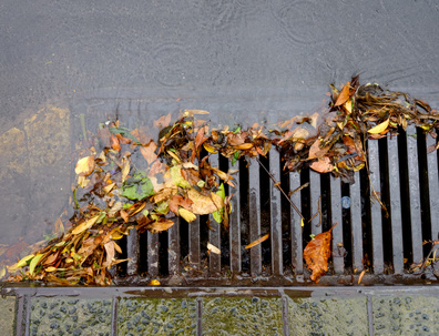 flood of leaves